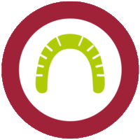 Schienentherapie Zahnwohlpraxis Sandra Wollgramm Chemnitz Zahnarzt